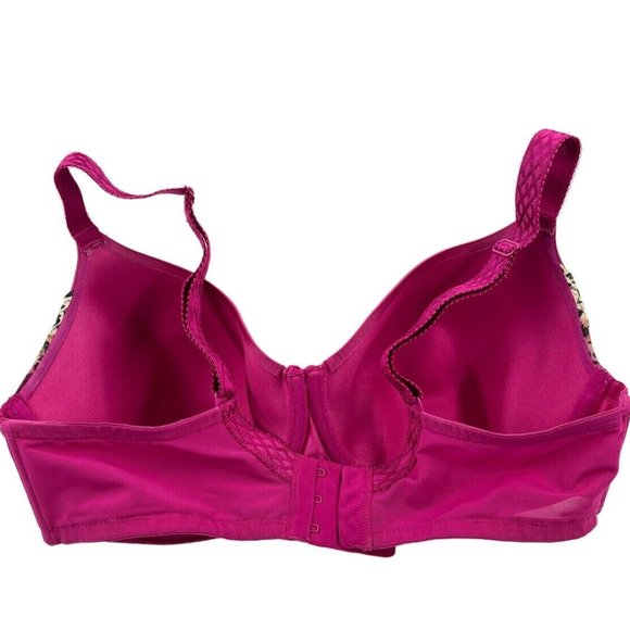 1st & Curve by Modern Movement Madison T-Shirt Bra 36H Magenta/Annimal Prt. Lace - Picture 2 of 4